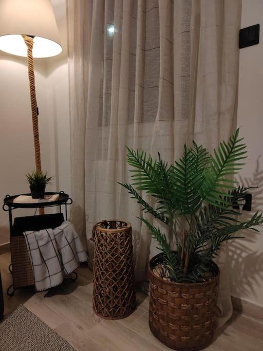 Apartament Cosy House With Garden Wolos Zewnętrze zdjęcie